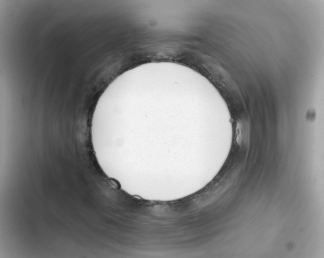 X0000101981395200808151350