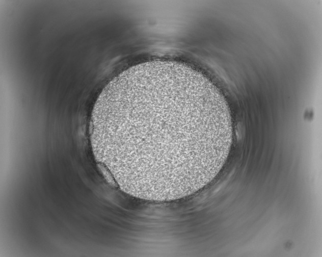 X0000101981396200808151350