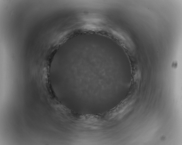 X0000101981397200808151350