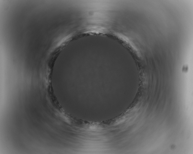 X0000101981399200808151350