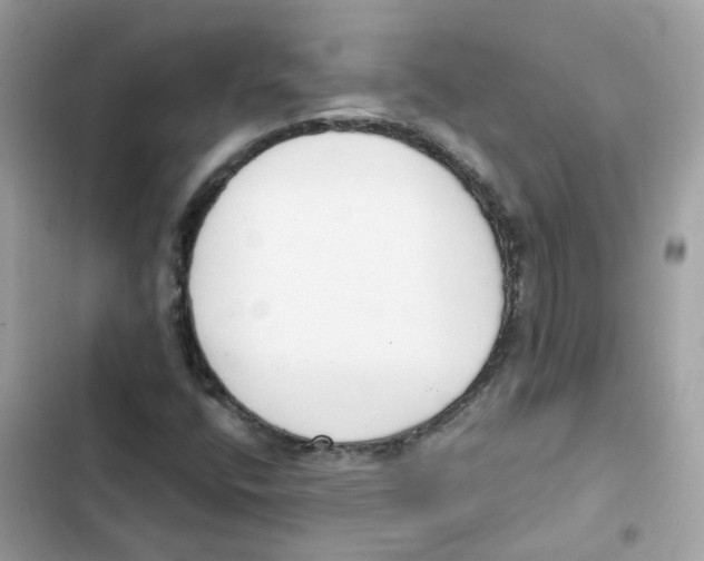 X0000101981400200808151350