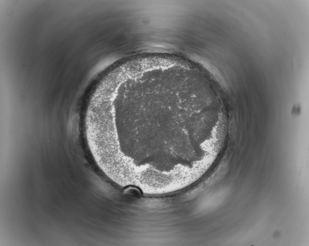 X0000101981402200808151350