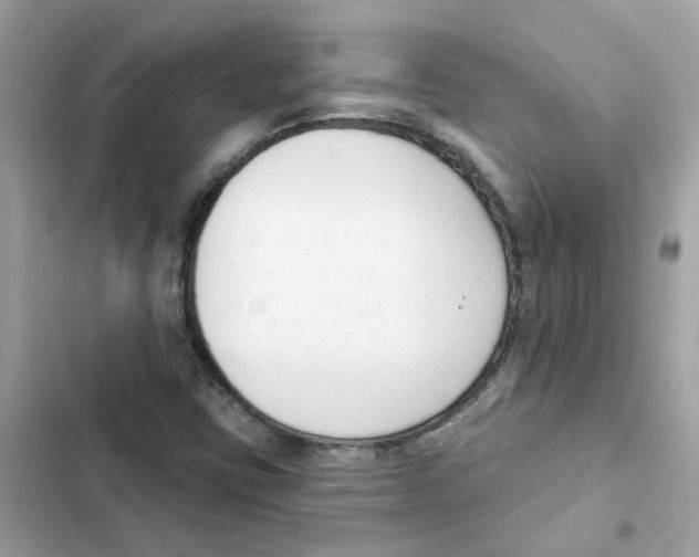 X0000101981403200808151350