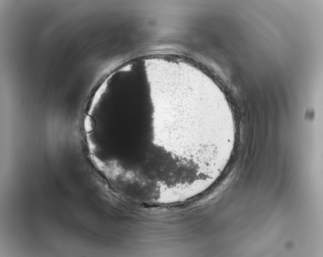 X0000101981405200808151350