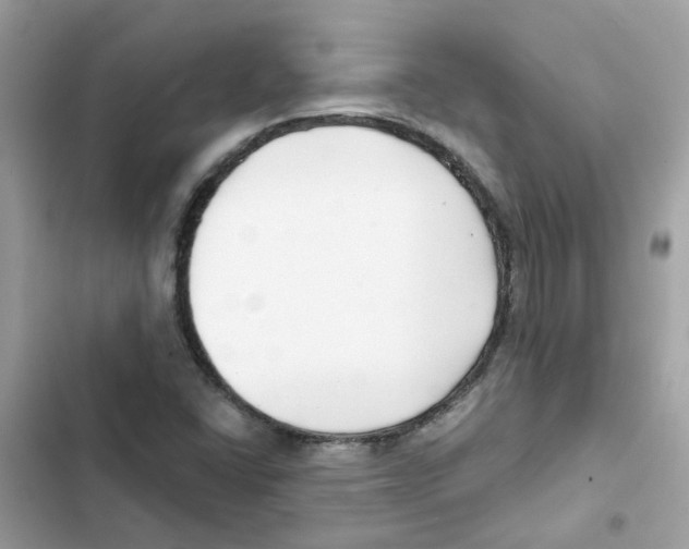 X0000101981406200808151350