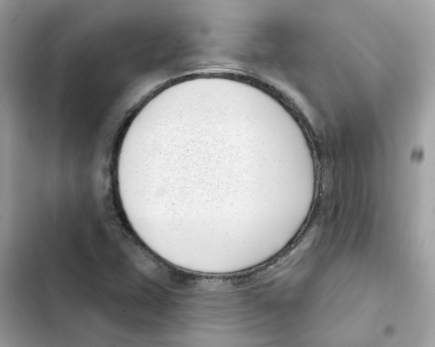 X0000101981407200808151350