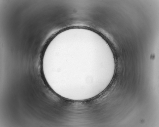 X0000101981408200808151350