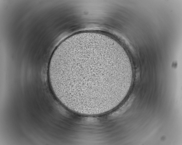 X0000101981409200808151350