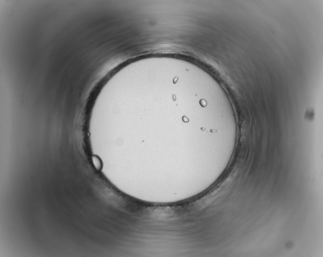 X0000101981410200808151350