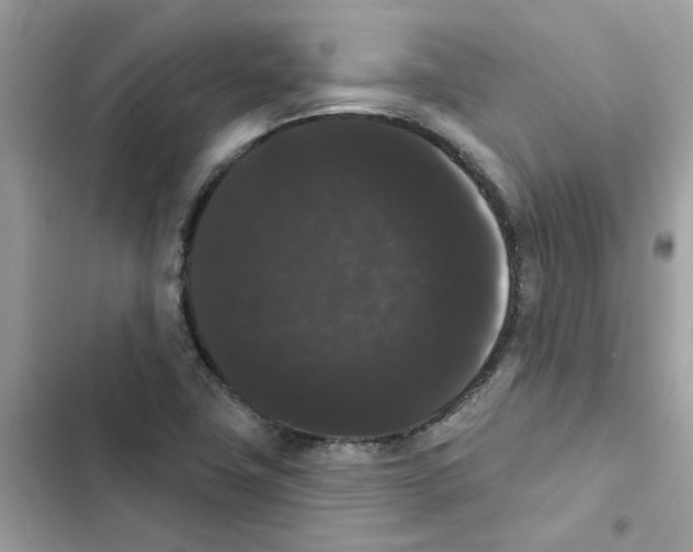 X0000101981411200808151350