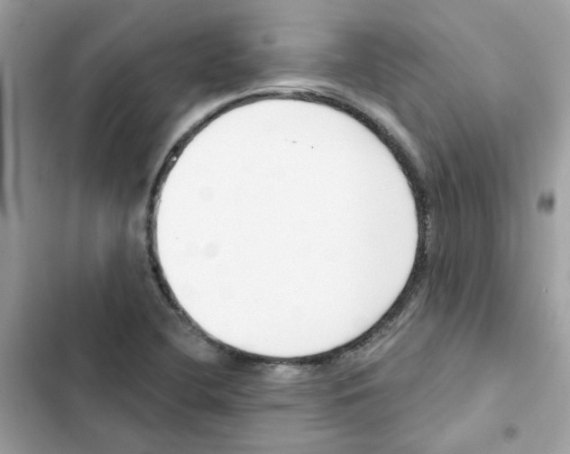 X0000101981412200808151350