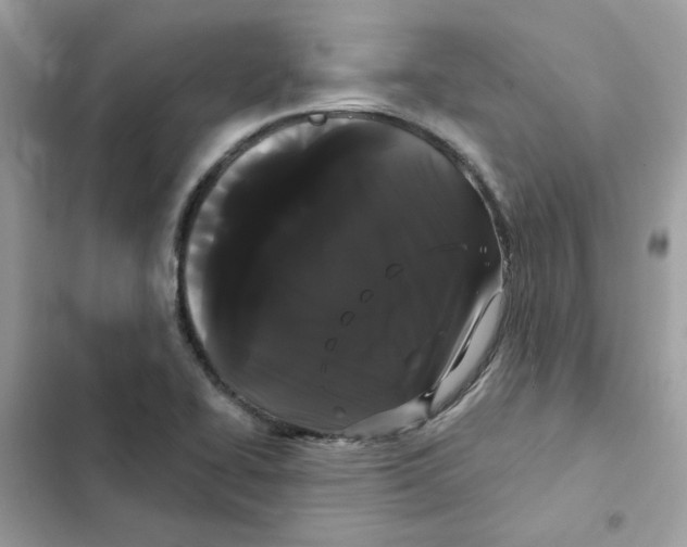 X0000101981414200808151351