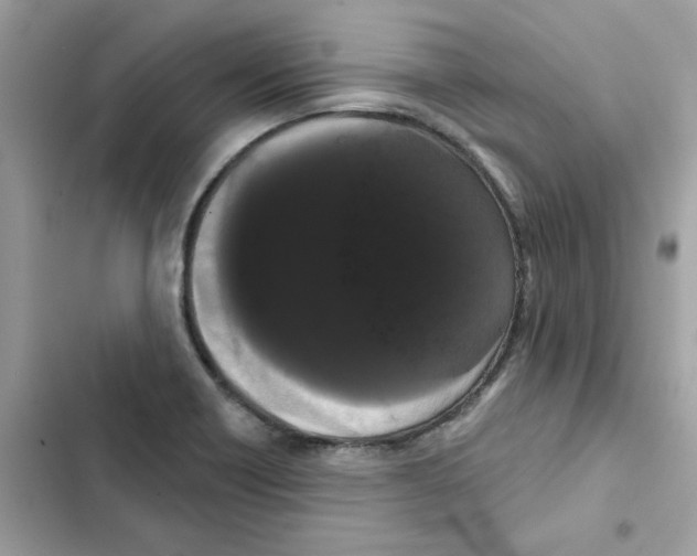 X0000101981418200808151351