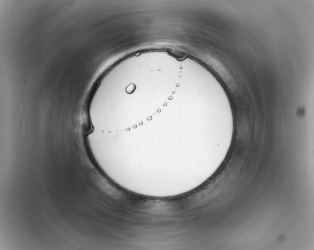 X0000101981420200808151351