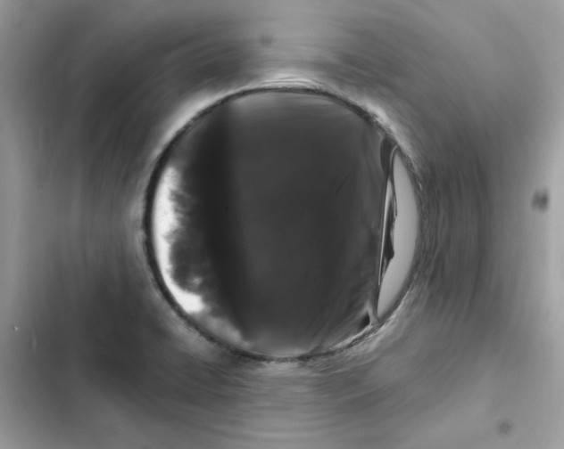 X0000101981422200808151351