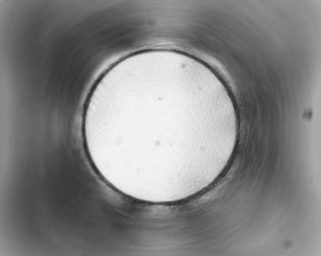 X0000101981424200808151351