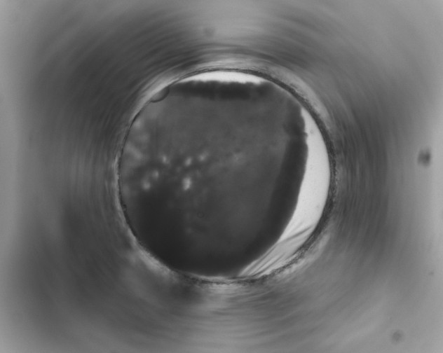 X0000101981425200808151351