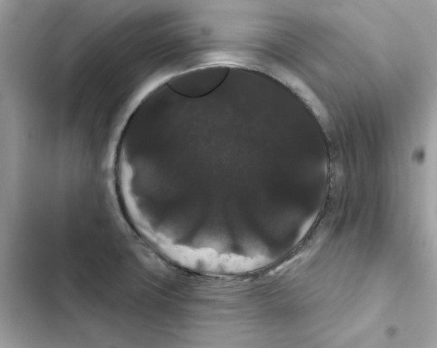 X0000101981427200808151351