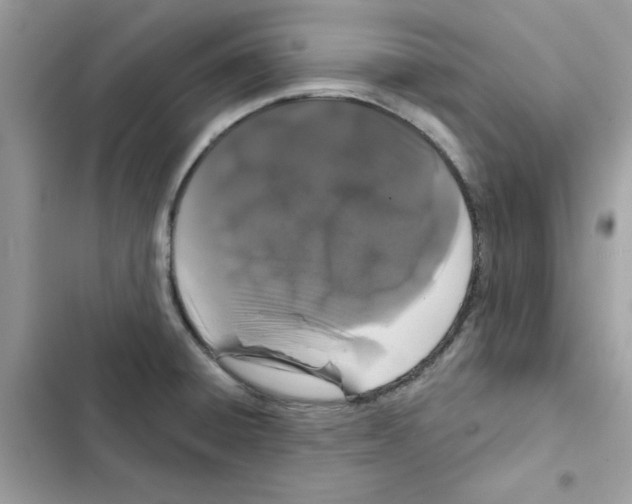 X0000101981428200808151351