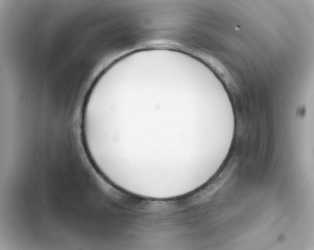 X0000101981430200808151351