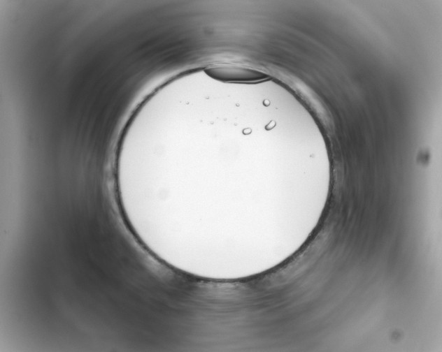 X0000101981432200808151351