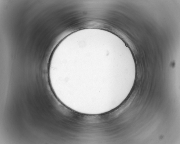 X0000101981434200808151351