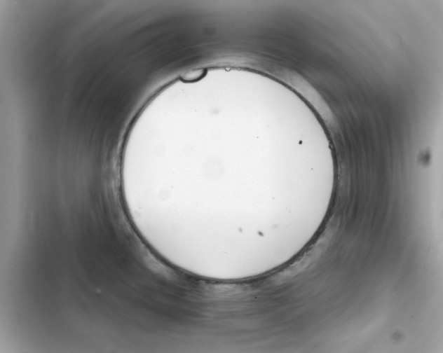 X0000101981436200808151351