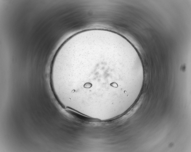 X0000101981438200808151351