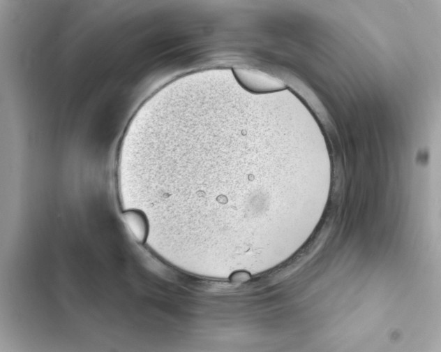 X0000101981439200808151351