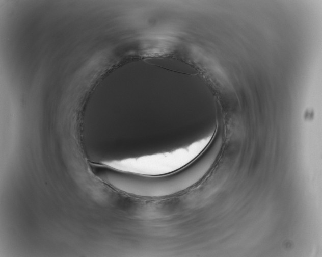 X0000101981441200808151350