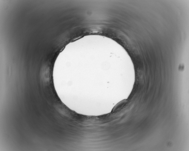 X0000101981442200808151350