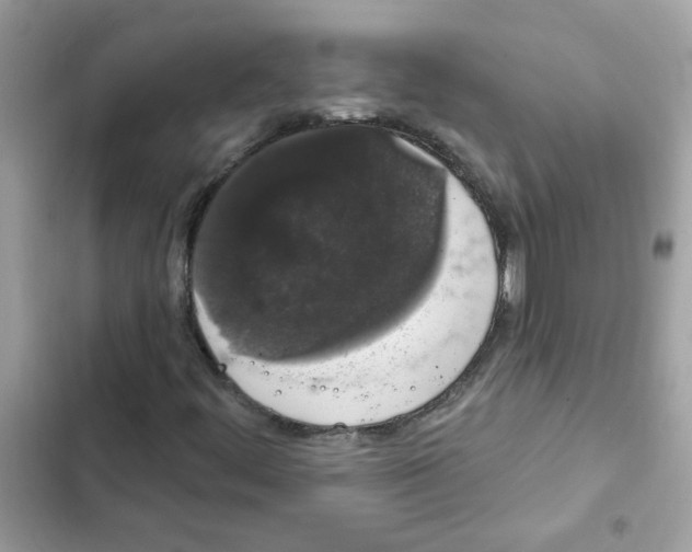 X0000101981444200808151350