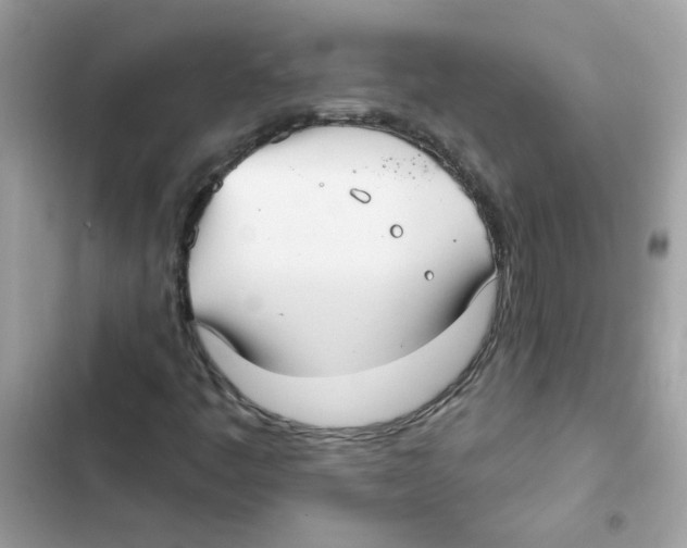 X0000101981445200808151350