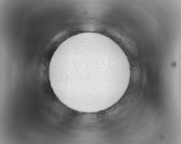 X0000101981446200808151350