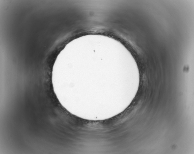 X0000101981447200808151350