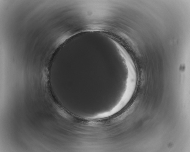 X0000101981449200808151350