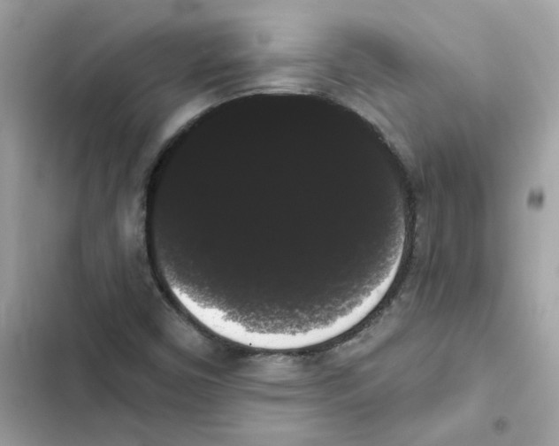 X0000101981450200808151350