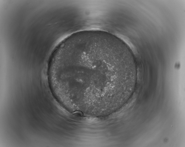 X0000101981452200808151350