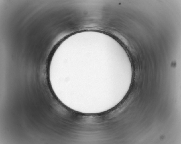 X0000101981458200808151350