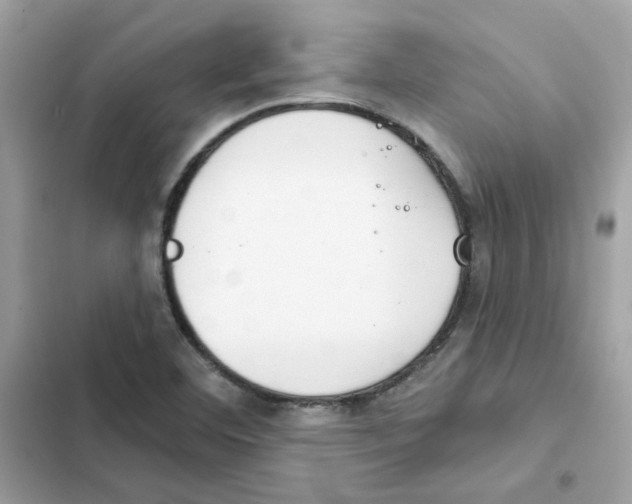 X0000101981460200808151350