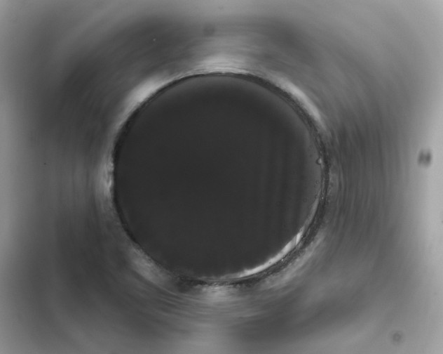 X0000101981461200808151350