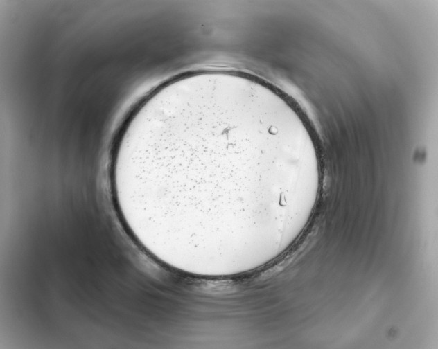 X0000101981464200808151350