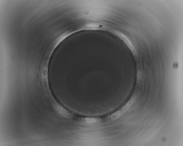 X0000101981465200808151350