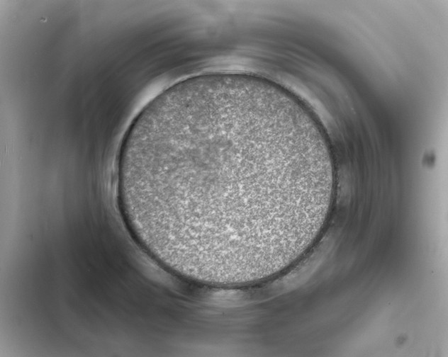 X0000101981467200808151350