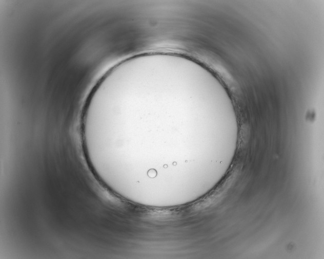 X0000101981470200808151350