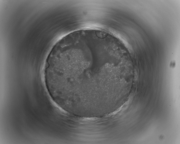 X0000101981471200808151350