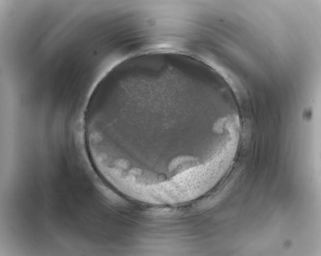 X0000101981474200808151350