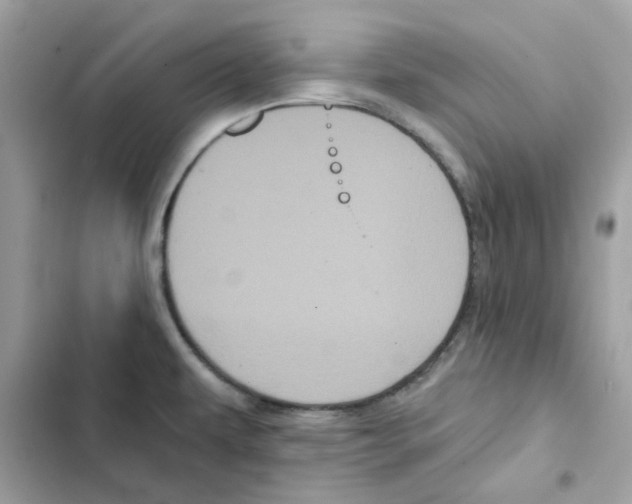 X0000101981479200808151350