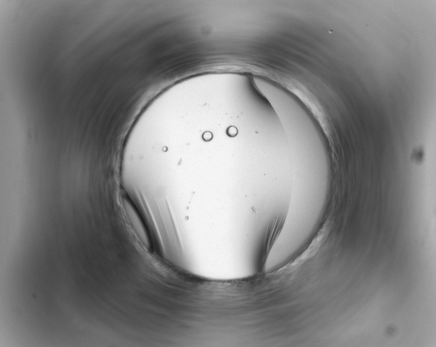 X0000101981481200808151350