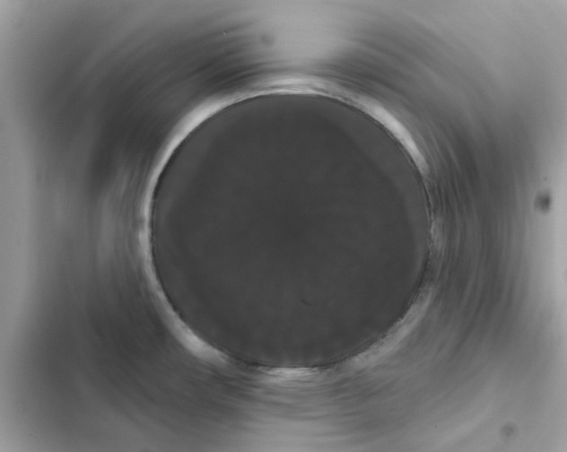 X0000101981482200808151350